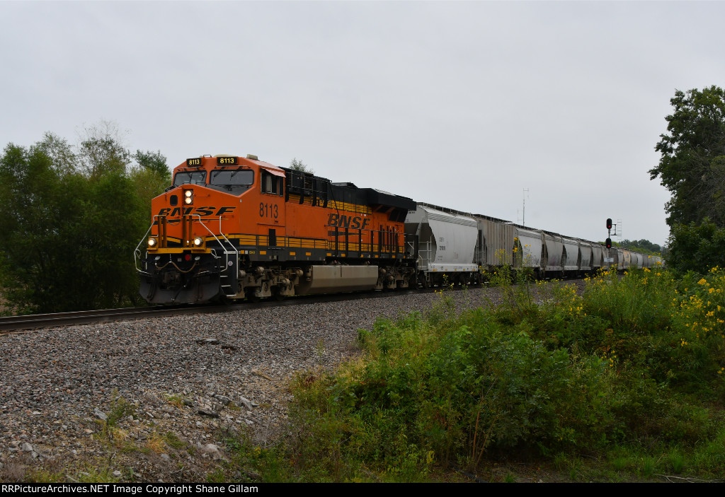 BNSF 8113